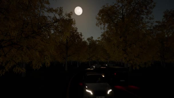 Luna de tráfico nocturno en el bosque Brillante estrella — Vídeo de stock