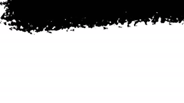 アブストラクトブラシストロークペイント映像白地アニメーションのチャコールブラックグランジドローイング — ストック動画