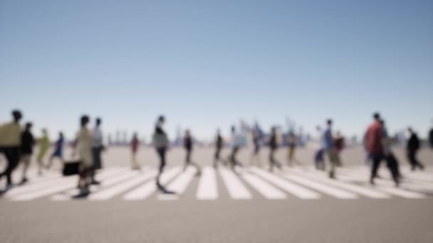 Zebra Odaklanan İnsanlardan oluşan Kalabalık — Stok video