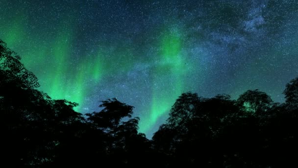 Impressionnant aurores boréales arbres paysage d'hiver — Video