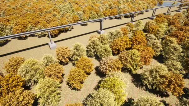 Herbstsaison Hyperloop Magnetschwebebahn-Konzept Design Futuristische Eisenbahn — Stockvideo