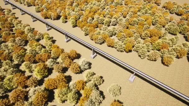 Transporte hyperloop maglev en naranja otoño Tren metro Hermoso paisaje naturaleza — Vídeo de stock