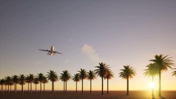 Uçak palmiye ağaçlarının üzerinde uçuyor. — Stok video