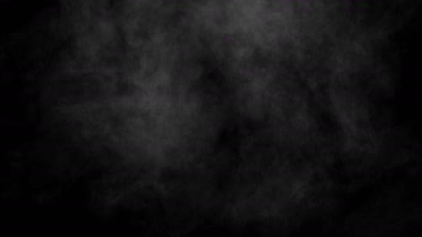 Реалістичний парний дим Плавучий туман Повітряний — стокове відео