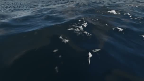 美丽的蓝色巨浪在深海中慢动作1000英尺每秒 — 图库视频影像