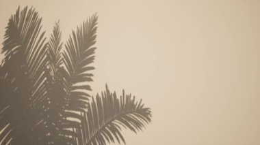 Gölge palmiye yaprakları kaplama etkisi Tropik güneş ışığı