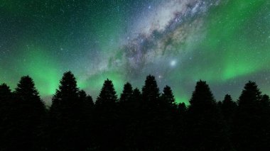 Gece çam ağaçları Kuzey ışıkları Kış manzarası Yeşil ağaçlar 3 boyutlu