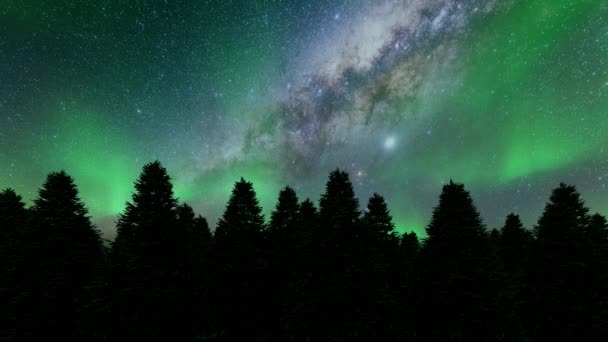 Pini notturni aurora boreale Paesaggio invernale Alberi verdi — Video Stock