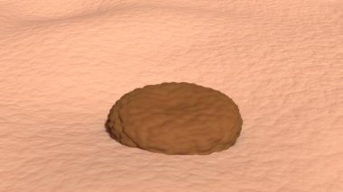 Cilt yoluyla serum İnsan sağlığı cilt hastalıkları araştırması Tıbbi problem kanser tümörü büyümesi