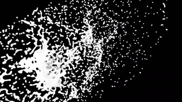 牛奶奶油飞溅滴在黑色上 — 图库视频影像