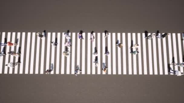 Pessoas pedestres atravessando conceito de estilo de vida zebra Urbano Cityscape fundo — Vídeo de Stock