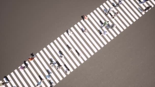 Vue aérienne avec piéton go zebra Promenade en plein air Personne d'affaires Rue de la ville — Video