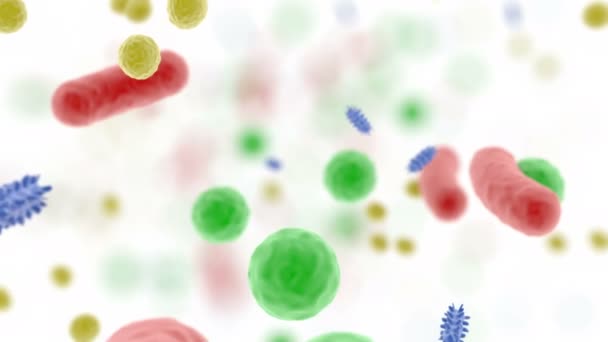 Body microbiome Ιατρική επιστήμη Ανθρώπινα βακτήρια υγείας μέσα σε ένα άτομο — Αρχείο Βίντεο