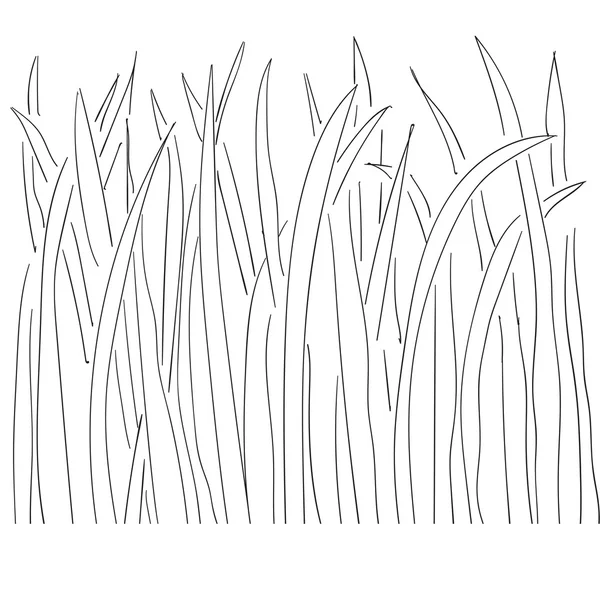 Ilustración de los contornos de hierba y plantas — Vector de stock