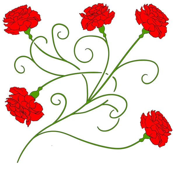Beautiful red carnation isolated Vector 2 — Stock Vector