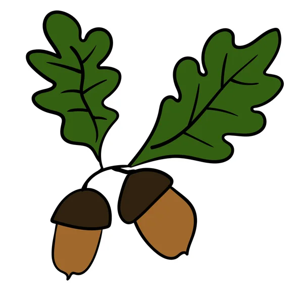 Oak leaves and acorns - autumn nature — Stock Vector