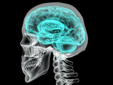 Karanlık bir vektör aktif bir insan beynine kavramı