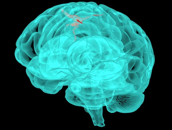 Concept of an Active Human Brain on a Dark Vector — Stock Vector