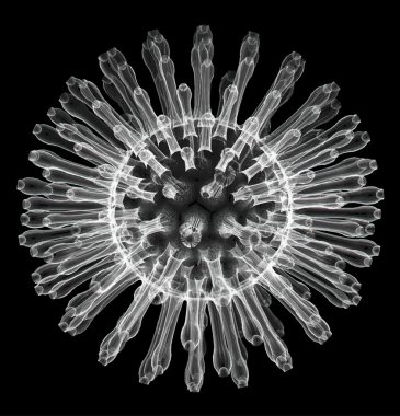 Virüs hücreleri veya bakteri illüstrasyon vektör