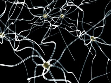Digital illustration of neuron Vector clipart