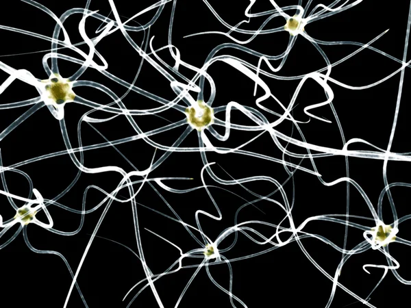 Ψηφιακή απεικόνιση νευρώνες διάνυσμα — Διανυσματικό Αρχείο