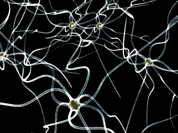 Ilustración digital del vector neuronal — Vector de stock