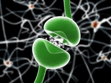 tipik insan nöron vektör 4 anatomisi