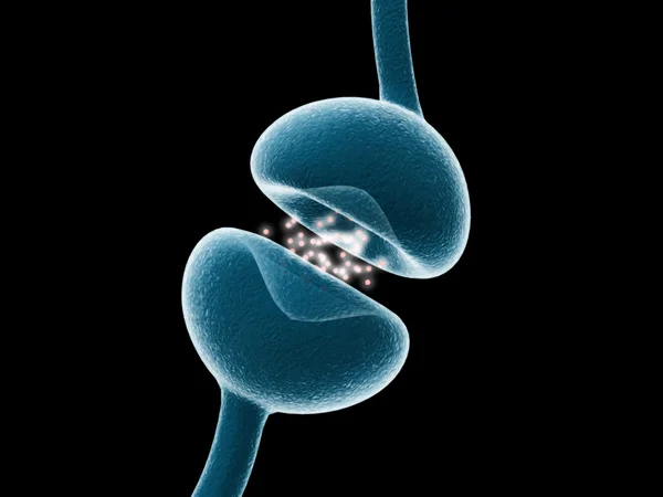 Anatomie vector3 typické lidské neuronu — Stockový vektor