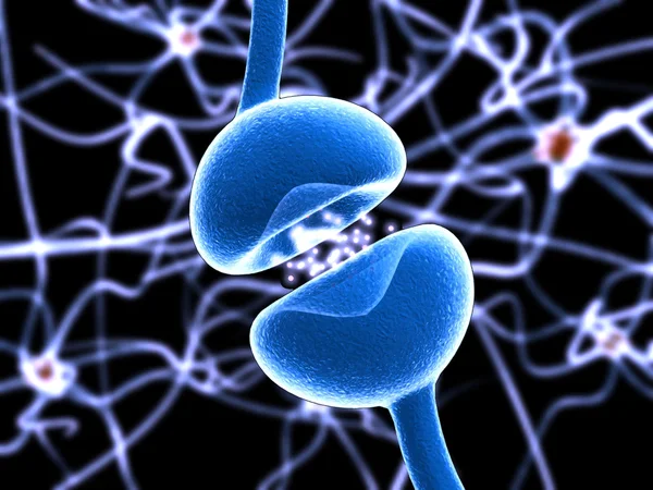 Tipik insan nöron vektör anatomisi — Stok Vektör