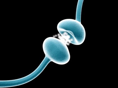 tipik insan nöron vektör 2 anatomisi