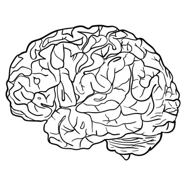 Background with brain concept  Vector