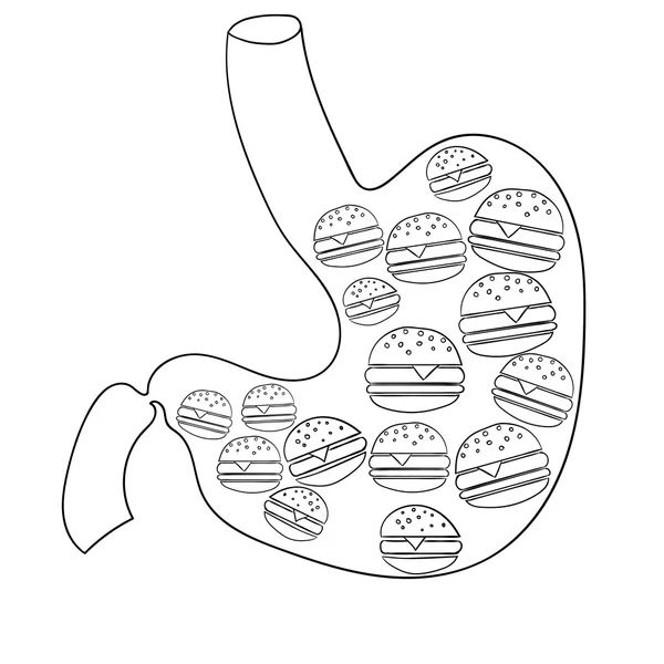 Gastro umano Illustrazione vettoriale 1 — Vettoriale Stock