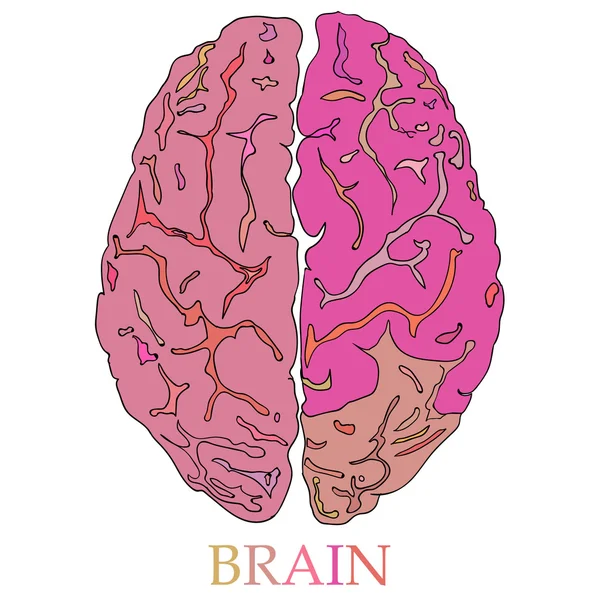 Ilustração de ícone cerebral estilo mínimo —  Vetores de Stock