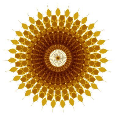 Buğday, arpa ve çavdar kulakları vektör 