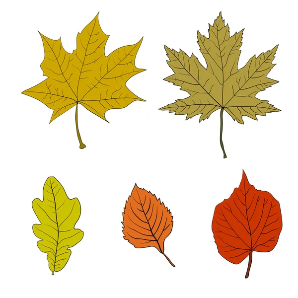 Conjunto de hojas coloridas de otoño. Ilustración vectorial. — Vector de stock