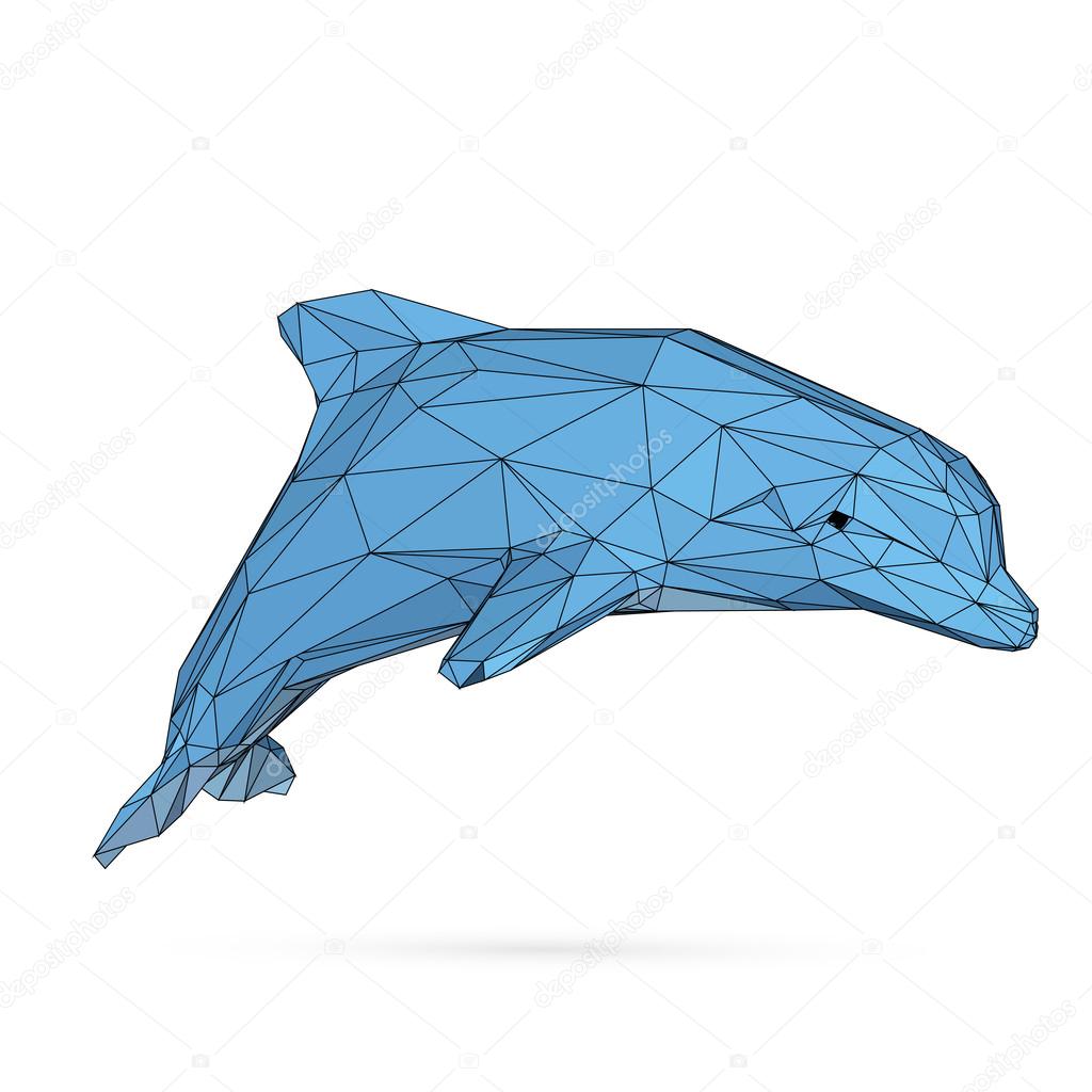 dolphin polygon vector image 1
