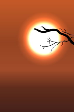 Çiçek açması sakura ağacı ile gündoğumu arka plan