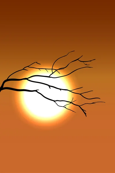 満開の桜の木と日の出背景 — ストックベクタ