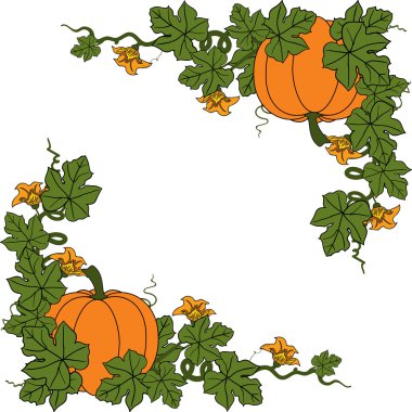 Balkabağı. Düz tasarım stili. Vektör çizim