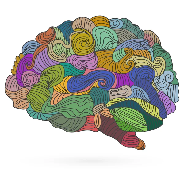 Mans brain, vector flat illustration — Stock Vector