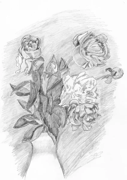 Teckning av blommor på vit — Stockfoto