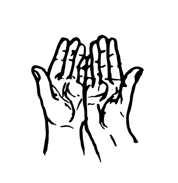 Mani umane: mani in alto, mani di palma — Vettoriale Stock