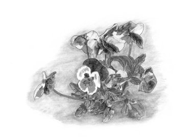 el çekilmiş çiçek ve ağaç