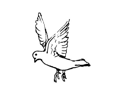 Vecrot koskocaman üzerinde beyaz backrgound