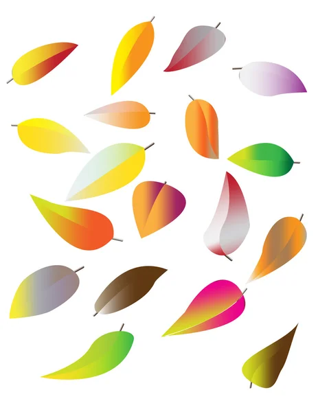 Barevné podzimní listy na bílém — Stockový vektor
