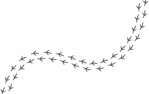 鸟类的脚印 在白色背景上孤立的鸽子的矢量爪印 黑色的腿伸展到图片的边界之外 鸟类爱好者墙纸 免版税图库插图
