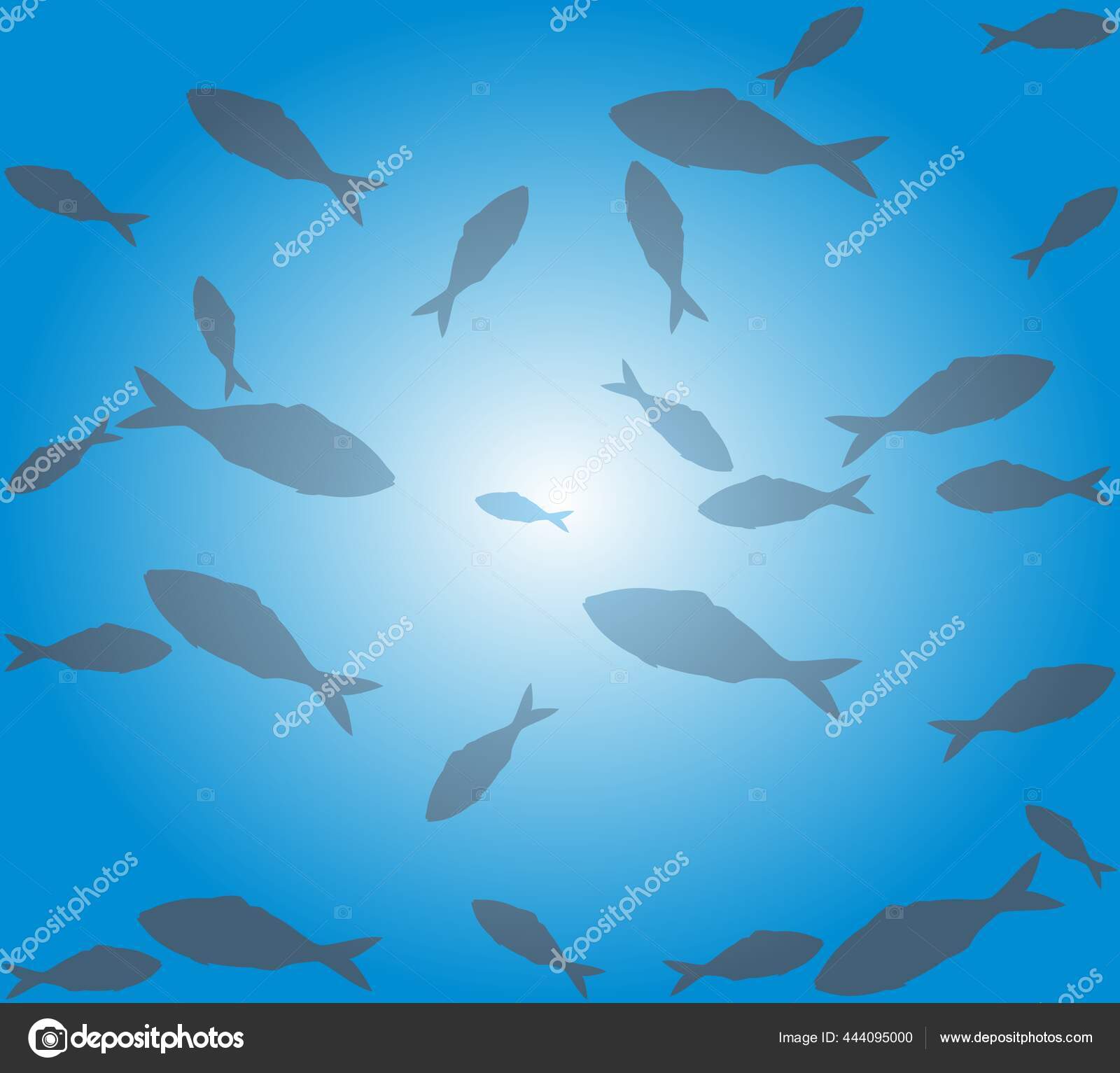 在阳光的背景下水中的海洋鱼类的模式在蓝白梯度上隔离的海鱼的轮廓矢量金枪鱼向不同方向漂浮无穷无尽的无缝壁纸