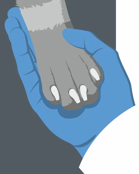Hand Veterinarian Medical Glove Gently Holds Dog Paw Dark Greyish — Stock Vector