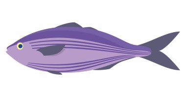 Deniz balığı sarı gözlü, koyu yüzgeçli ve kuyruklu mor renktedir. Beyaz arkaplanda izole edilmiş bir hayvanın vektör çizimi
