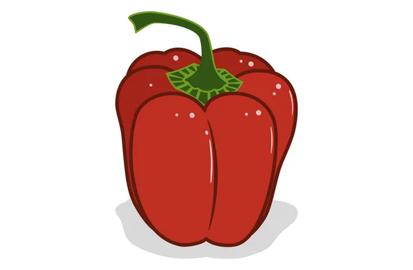 Poivron Frais Paprika Vecteur Poivron Rouge Schéma Dessin Sur Fond — Image vectorielle